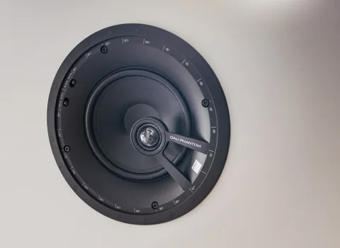 Nahaufnahme Deckenlautsprecher ohne Abdeckung in Schwarz